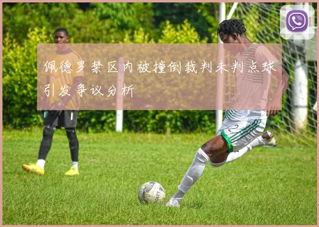佩德罗禁区内被撞倒裁判未判点球引发争议分析