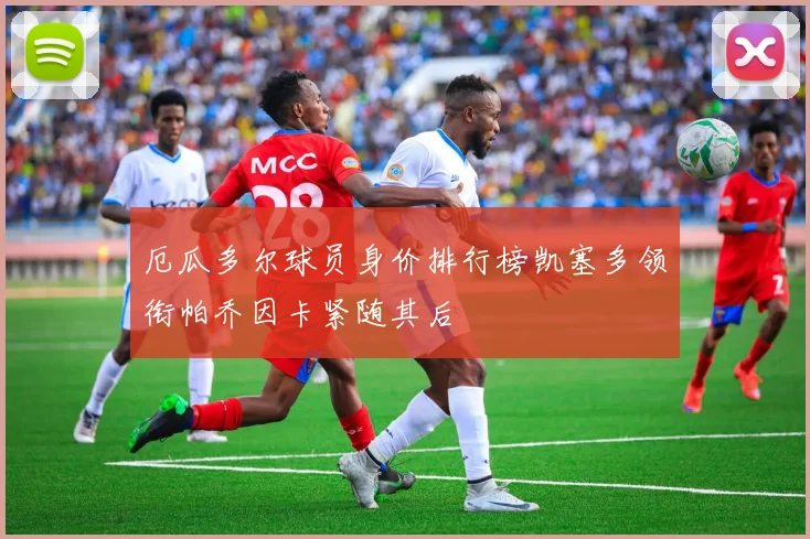 厄瓜多尔球员身价排行榜凯塞多领衔帕乔因卡紧随其后